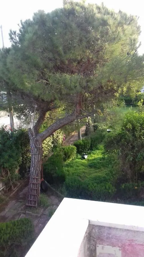 Villa Alma Bari Italie
